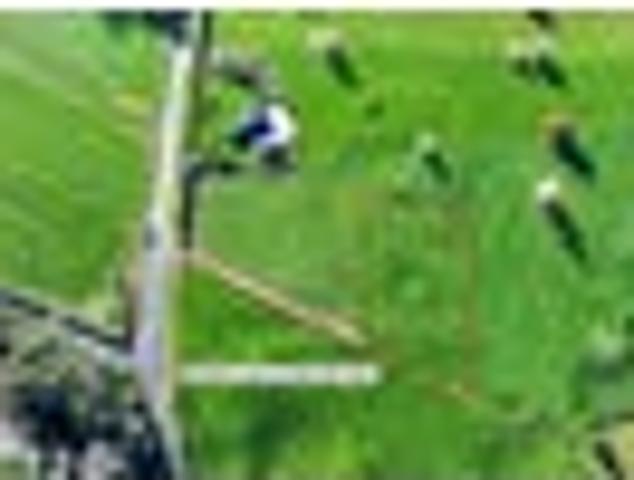Land for sale in Waikato