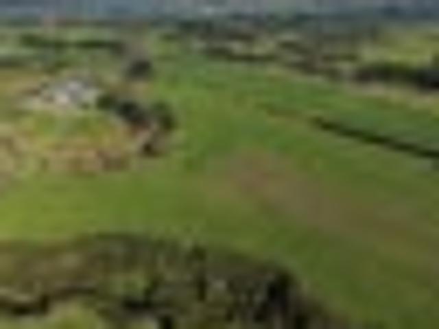 Land for sale in Waikato
