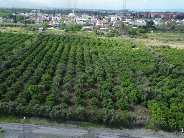 Dörtyol, Hatay içerisinde satılık Bina