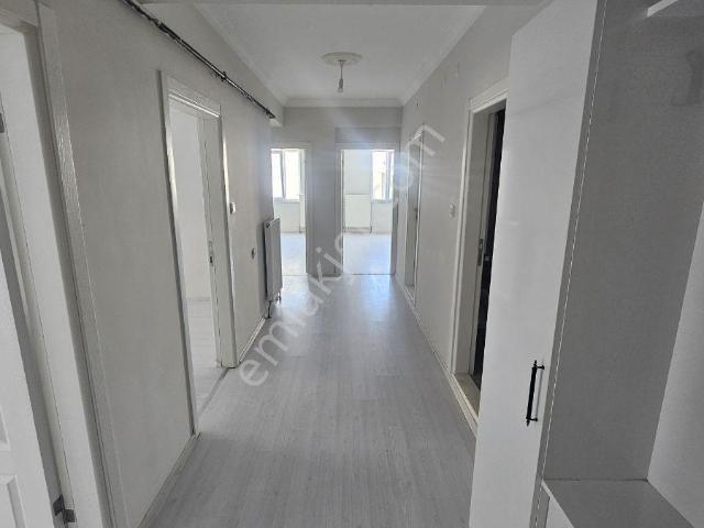 Söğüt, Bilecik içerisinde kiralık mülk