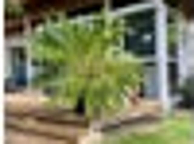 Apartment for rent in Whangaparaoa, Oroua County