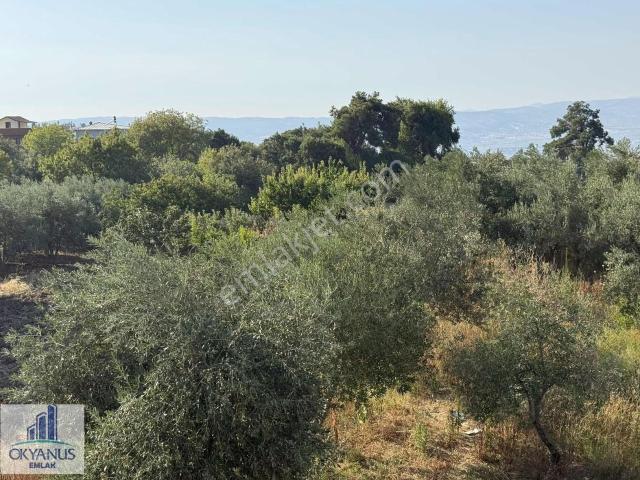 Manisa içerisinde satılık Villa