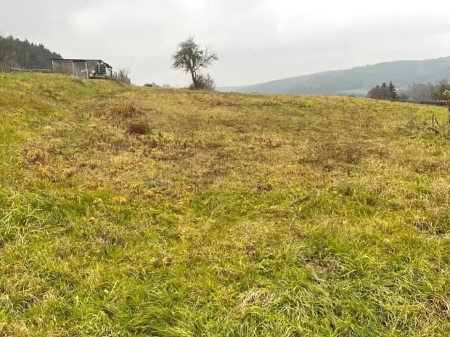Grundstück kaufen in Olbendorf, Burgenland