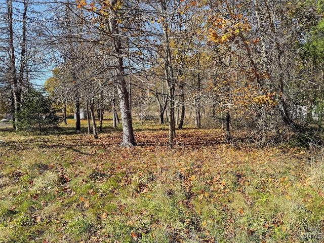 Land for sale in Big Flats, New York