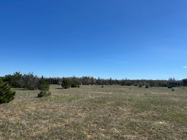 Land for sale in Vanderbilt, Michigan