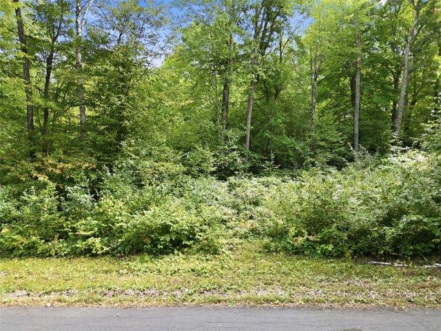Land for sale in Sawyer, Wisconsin