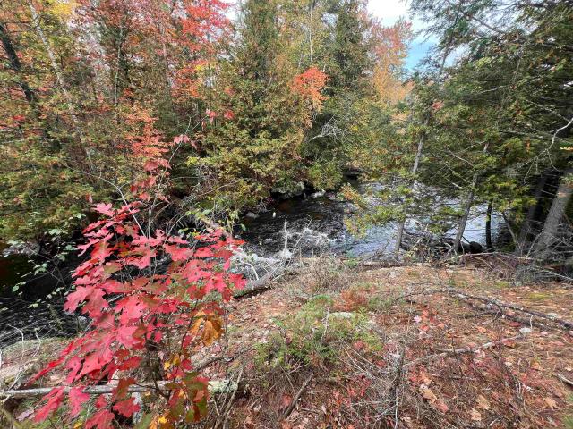 Land for sale in Amberg, Town of Amberg