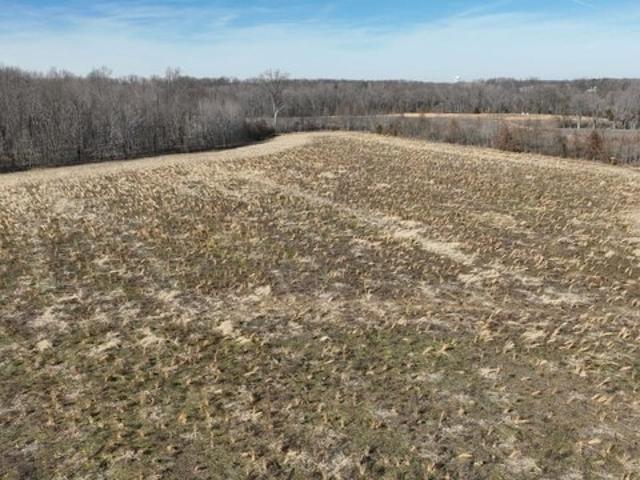 Farm for sale in Hamersville, Ohio