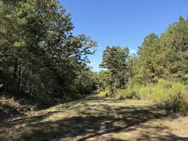 Land for sale in Pickens, Holmes County