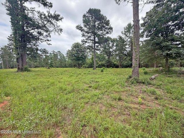 Land for sale in Lucedale, Mississippi