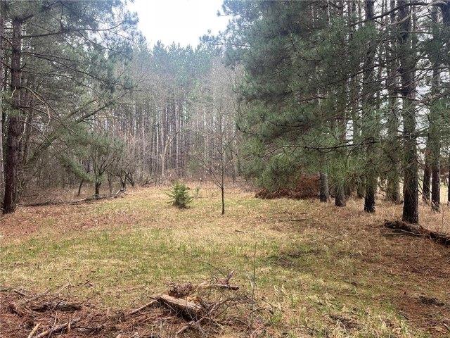 Land for sale in Henning, Minnesota