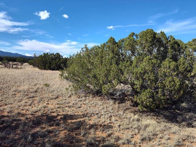 Land for sale in Mountainair, Torrance County