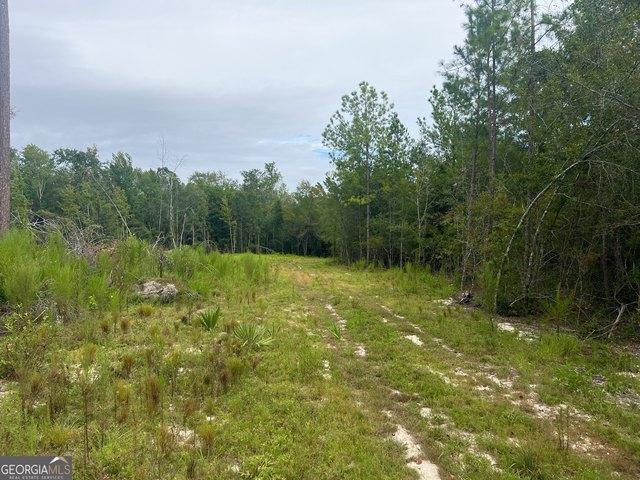 Land for sale in Mount Vernon, Georgia