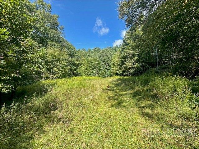Land for sale in Watauga, North Carolina