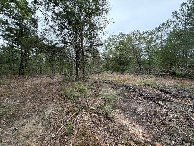 Land for sale in Smithville, Texas