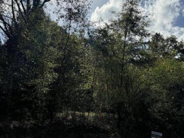 Land for sale in Harlem