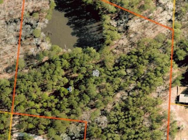 Land for sale in Harlem