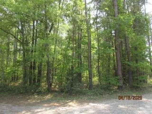 Land for sale in Huger, South Carolina