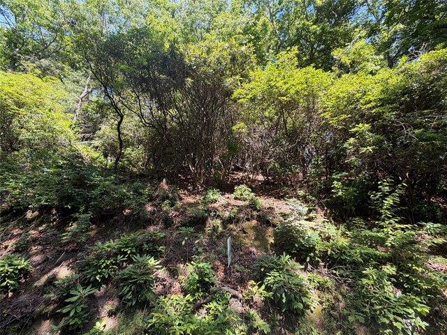 Land for sale in North Carolina