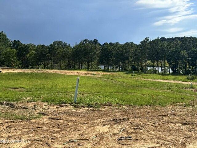 Land for sale in Jackson