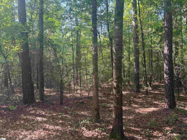 Land for sale in Abbeville, South Carolina