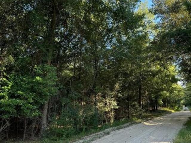 Land for sale in Barnwell