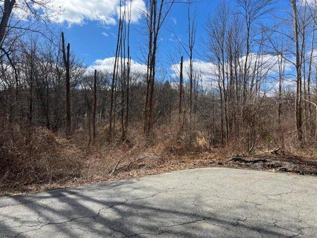 Land for sale in Randolph, New Jersey