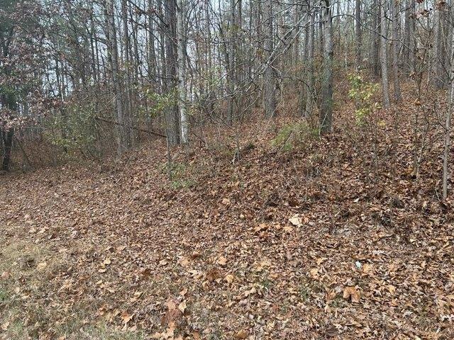 Land for sale in Tunnel Hill, Georgia