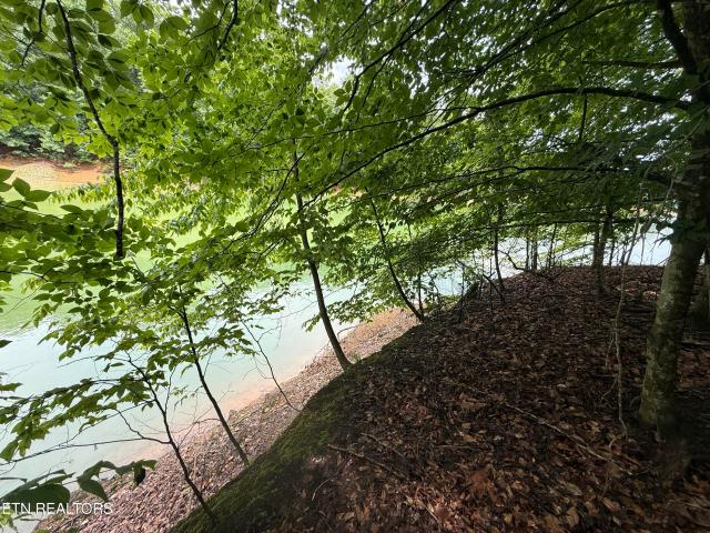 Land for sale in Tennessee