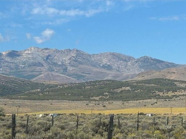 Land for sale in Wells, Nevada