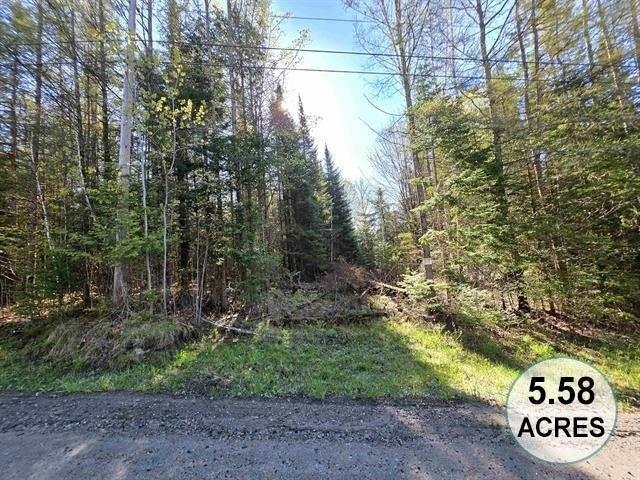 Land for sale in Lyndon, Vermont