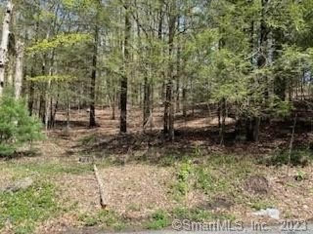 Land for sale in Norfolk, Connecticut