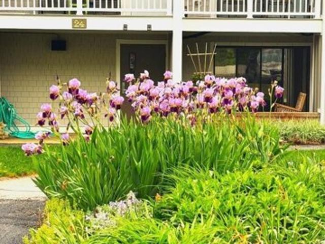 Condo for sale in Orleans, Massachusetts