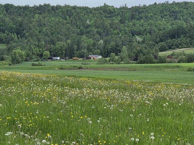 Land for sale in Concord, Vermont