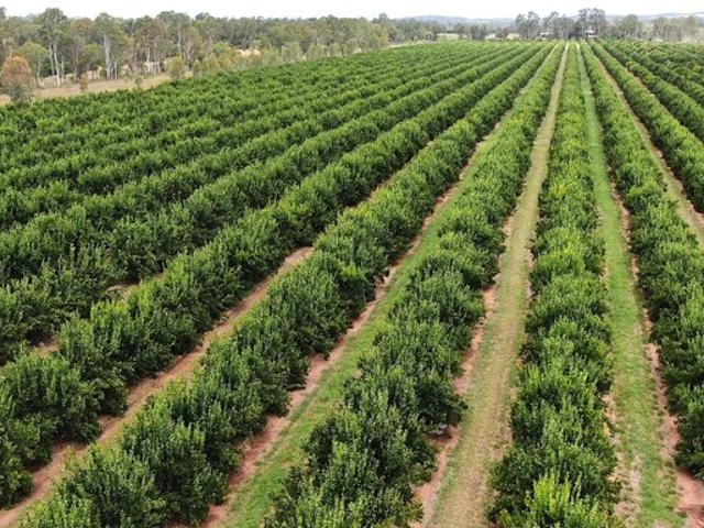 Property for sale in Glenrae, Queensland