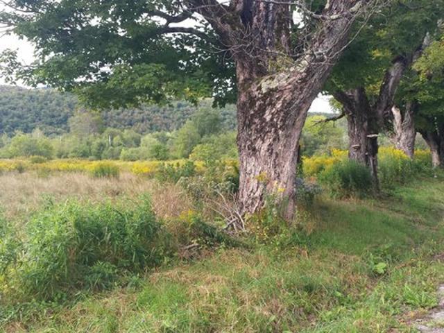 Land for sale in Bennington, Vermont