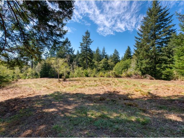 Land for sale in Oregonia