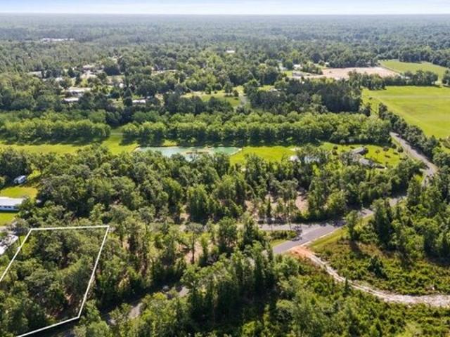 Land for sale in Wewahitchka, Florida