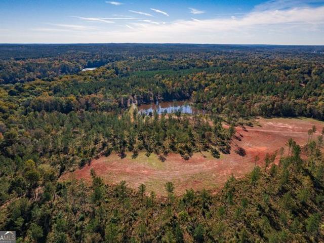 Land for sale in Juliette, Georgia