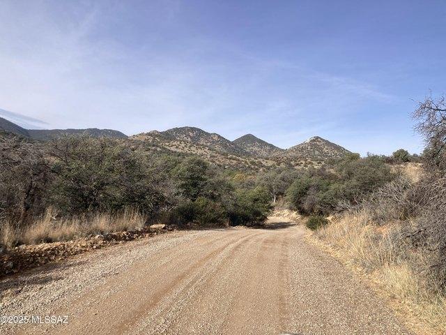 Land for sale in Patagonia, Arizona