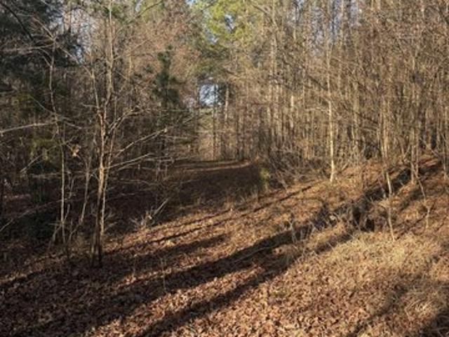 Land for sale in Ark