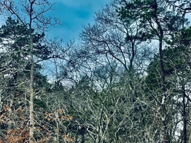 Land for sale in Edgartown, Massachusetts