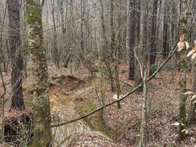 Land for sale in Alpine, Alabama