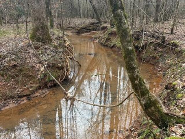 Land for sale in Alpine, Alabama