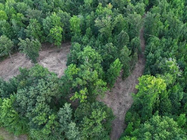 Land for sale in Hinckley, Minnesota