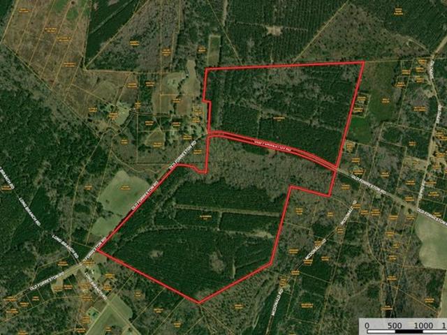 Land for sale in Greeleyville, South Carolina