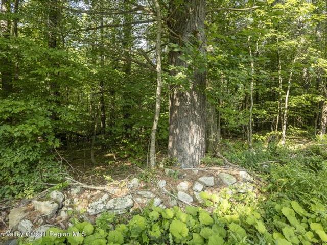 Land for sale in Chatham, New York