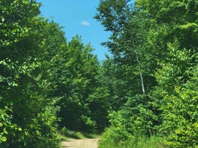Land for sale in Bennington, Vermont