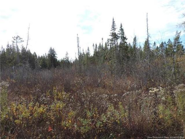 Land for sale in Saint Martins, New Brunswick