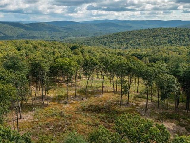 Land for sale in Town of Canaan, Columbia County
